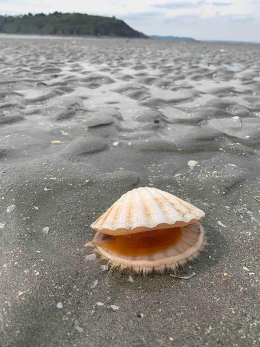 Ravissant Studio En Bord De Mer Plérin Zewnętrze zdjęcie